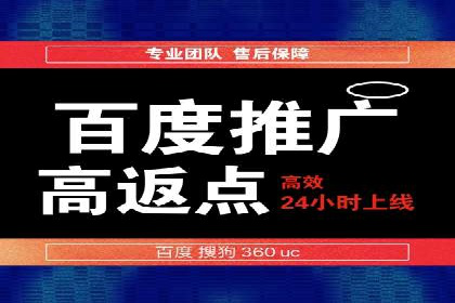 SEM服务公司助力品牌崛起案例
